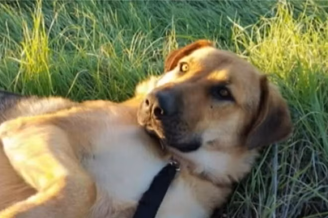 Chu cho mat niem tin vao con nguoi va... chuyen co tich ngoai doi thuc