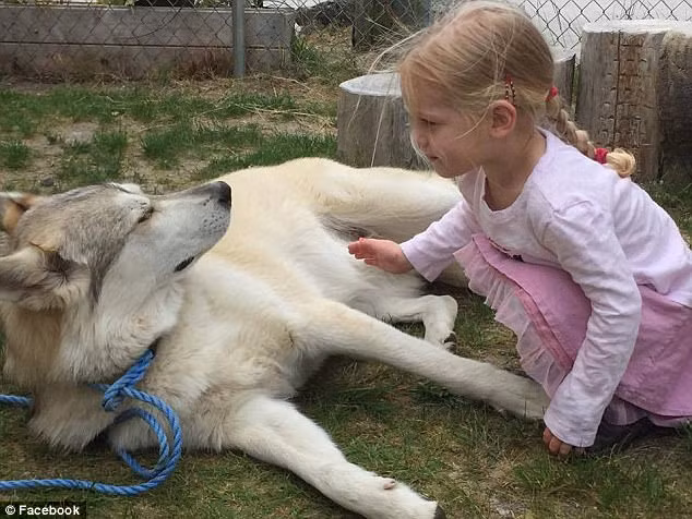 Cho chet oan khi di dao voi chu vi dieu khong ngo nay-Hinh-3