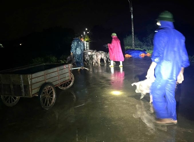 Hàng trăm người xuyên đêm gia cố chân đê ở Thanh Hóa - Hình 2 Hang tram nguoi xuyen dem gia co chan de o Thanh Hoa-Hinh-2