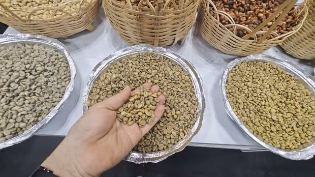 Dieu gi khien gia ca phe xo do moi ky luc?