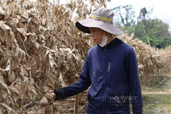 Gat nuoc mat, nong dan Thu do dung day sau bao-Hinh-2
