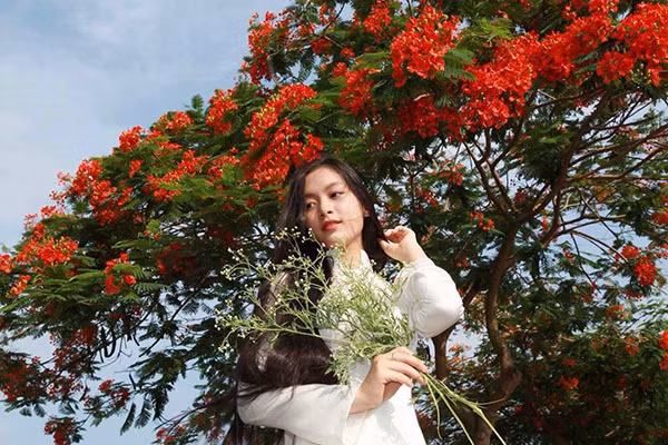 Cô bạn đã xin được học bổng 50% tại đất nước xinh đẹp này. Nhưng ước mơ xa xôi của nữ sinh Hải Phòng là được sống và học tập tại Mỹ.