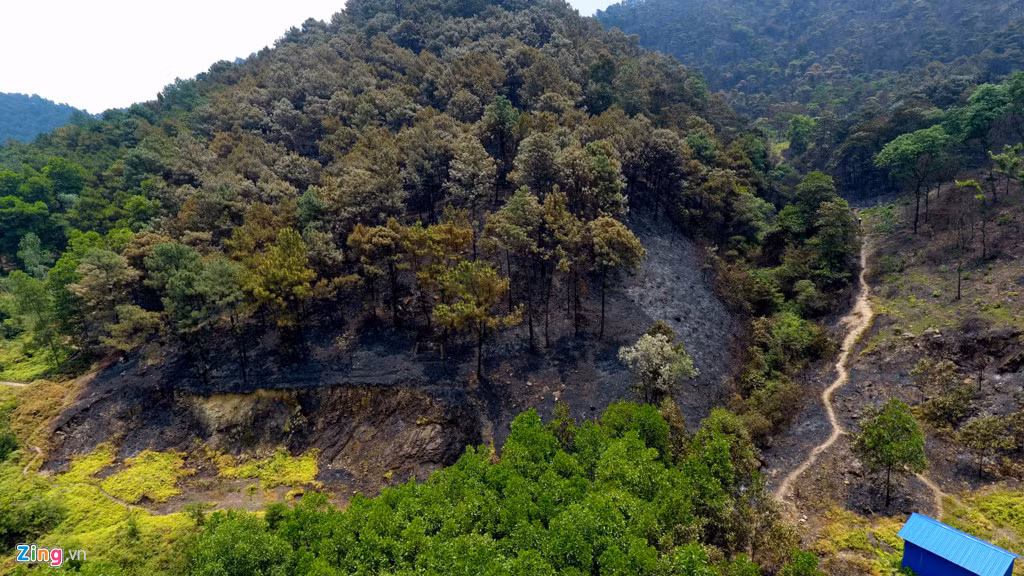 Trong số đó, ba hộ dân gồm bà Đạo, bà Tần, ông Túc ở gần khu vực cháy rừng nhất. Tối qua, cả gia đình họ phải sơ tán vì không chịu nổi sức nóng phả ra từ đám cháy.