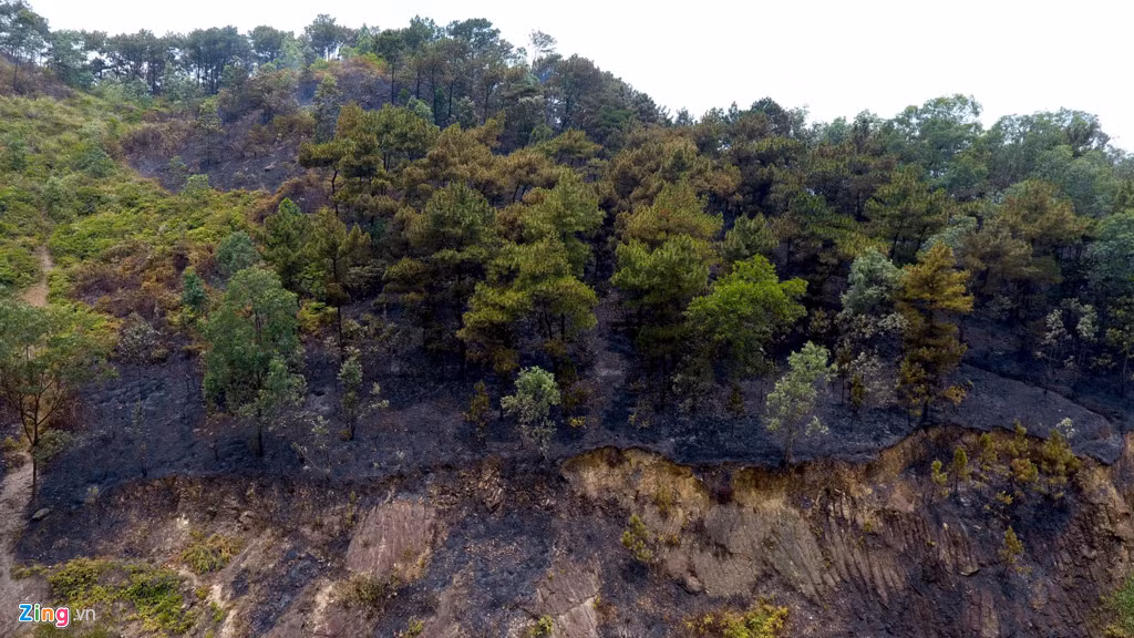 Tuy nhiên vẫn chưa ai biết nguyên nhân vụ cháy từ đâu. Bà Tần chia sẻ đã sống ở đây 40 năm, ngay dưới chân ngọn núi này nhưng chưa bao giờ bà gặp vụ cháy nào lớn như thế.