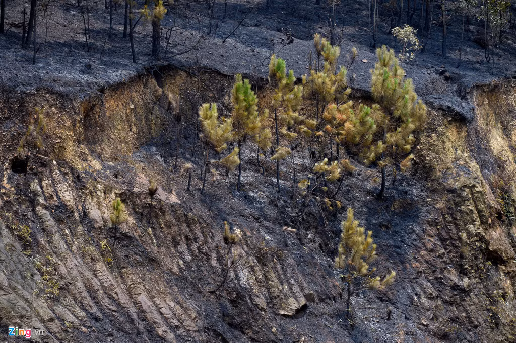 Trước đó, đám cháy kéo dài suốt hơn 12 tiếng, từ khoảng 13h30 ngày 5/6 kéo dài đến 1h sáng 6/6. Thời điểm 21h30 đám cháy đã dần tắt nhưng sau đó do ở trên cao, gió lớn, ngọn lửa tiếp tục bùng lên.