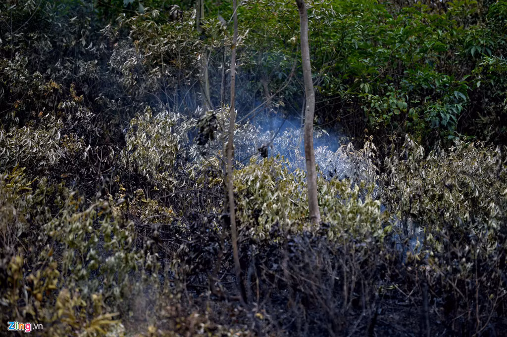 11h ngày 6/6, một số vị trí vẫn còn khói âm ỉ tỏa ra trên triền núi.