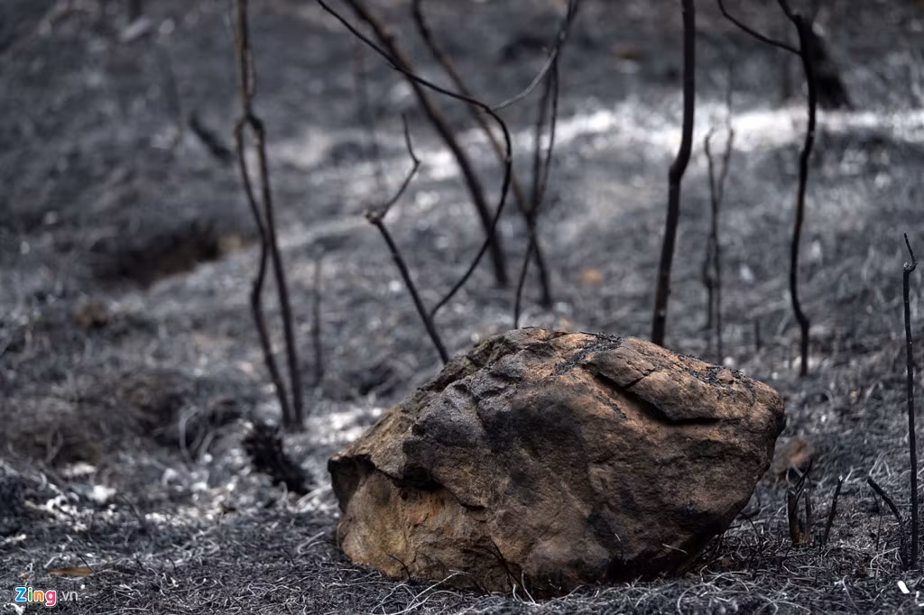 Người dân cho biết dù tối qua đám cháy đã được dập tắt nhưng đến khoảng 6h sáng nay tại một số vị trí ngọn lửa bỗng bùng cháy trở lại. Đến 9h30 các đám cháy này mới kiểm soát hoàn toàn.