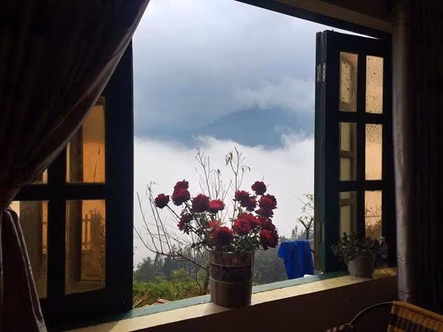 Trong khi ở miền Bắc, mùa hè là những ngày nắng chói chang thì “trốn” ở homestay nhỏ xinh này, du khách sẽ được tận hưởng cả 4 mùa trong cùng một ngày.