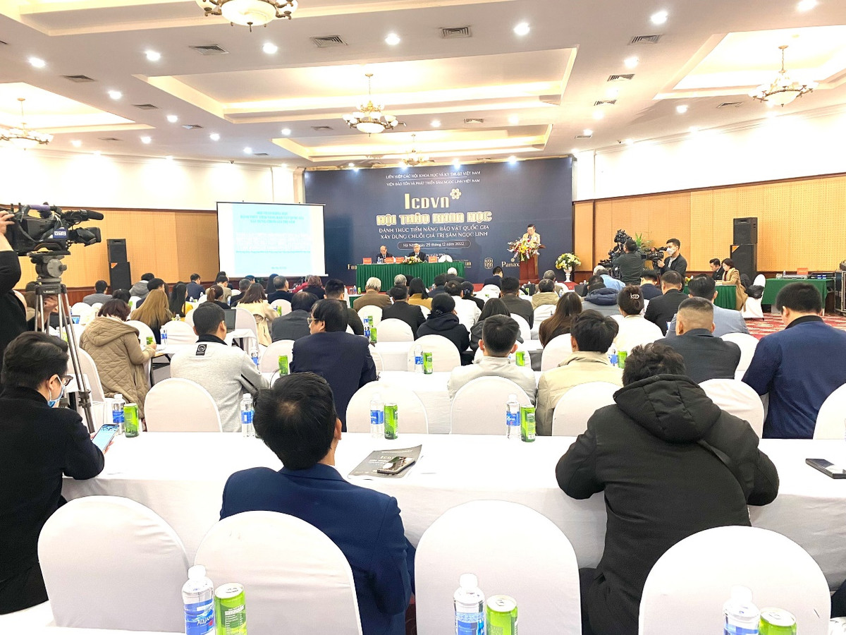 Danh thuc tiem nang Bao vat Quoc gia, xay dung chuoi gia tri Sam Ngoc Linh