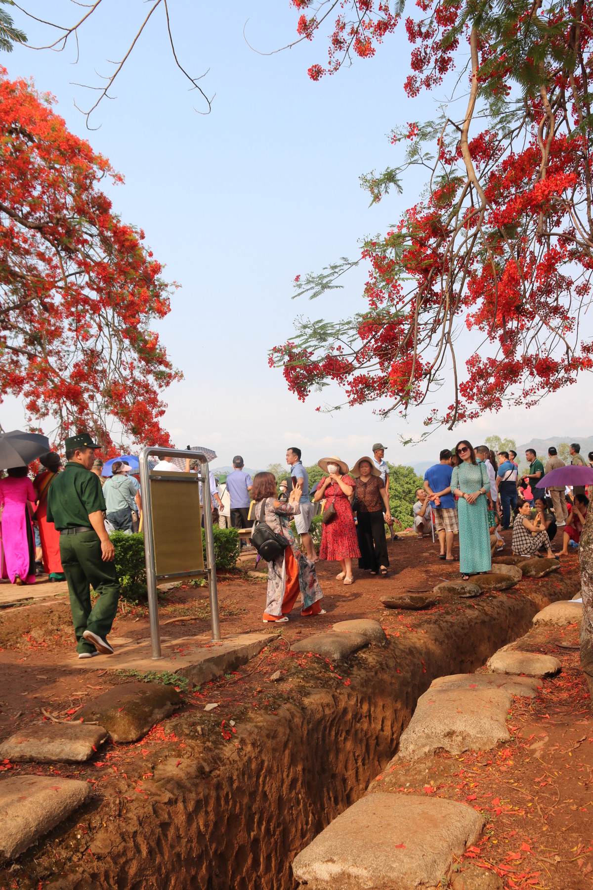 Chiến hào và hoa.