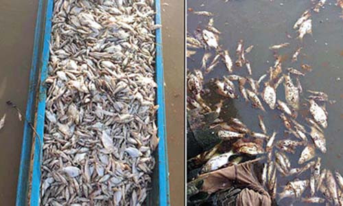 Campuchia: 68 tan ca chet tai khu du tru sinh quyen the gioi