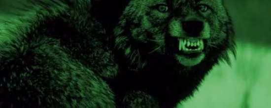 2. Những người sói ở Greifswald. Theo những hồ sơ cũ, vào khoảng năm 1640, thành phố Greifwald ở Đức xuất hiện khá nhiều người sói. Số lượng người sói ở quá nhiều khiến người dân không dám ra ngoài khi trời tối do lo sợ có thể gặp nguy hiểm.