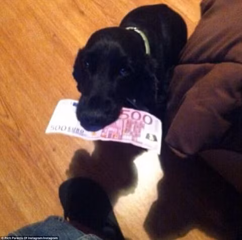 Phu huynh nha giau khoe tien ty, sieu xe ram ro tren mang-Hinh-7