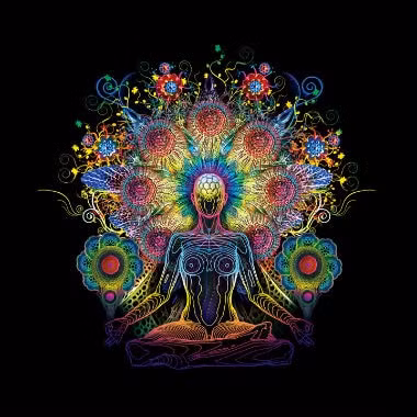 Vì vậy, bà hay dùng tóc để che con mắt thứ ba, tránh ánh mắt kỳ thị, soi mói của người đời. Theo chia sẻ của nữ giáo sư này, con mắt thứ ba có tác dụng đặc biệt mà người thường không thể biết được.