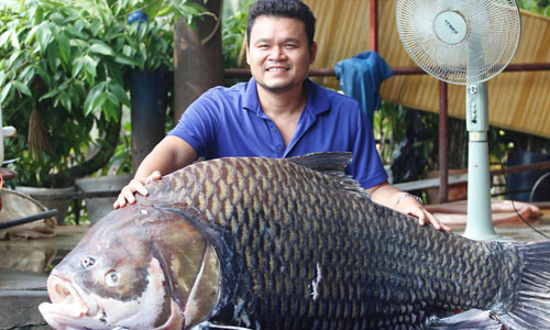 Ly lich nhung loai ca “khung” tung “boi” ve Sai Gon