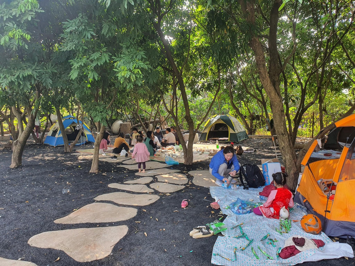 Không chỉ các trường học, nhiều gia đình cũng lựa chọn dã ngoại tại "ốc đảo xanh" vào những ngày cuối tuần.