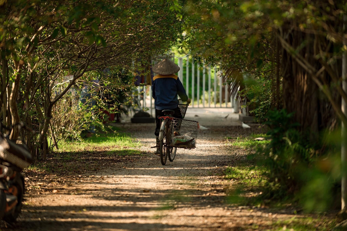 Với khoảng cách không quá xa trung tâm Thủ đô, ''ốc đảo xanh" này thực sự là điểm dã ngoại, trải nghiệm thú vị.