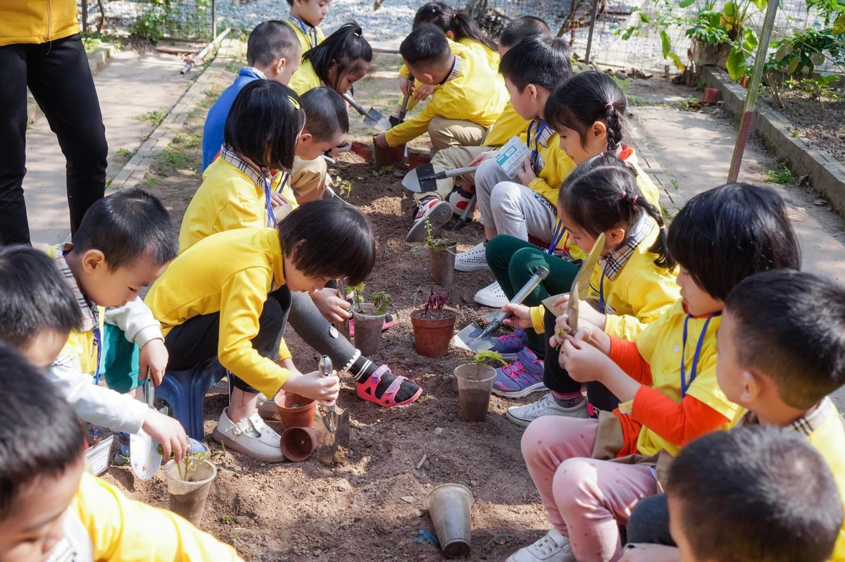 Các bạn nhỏ được hướng dẫn tự tay trồng cây tại công viên. Qua những trải nghiệm thiết thực này các em sẽ yêu thiên nhiên, yêu môi trường hơn.