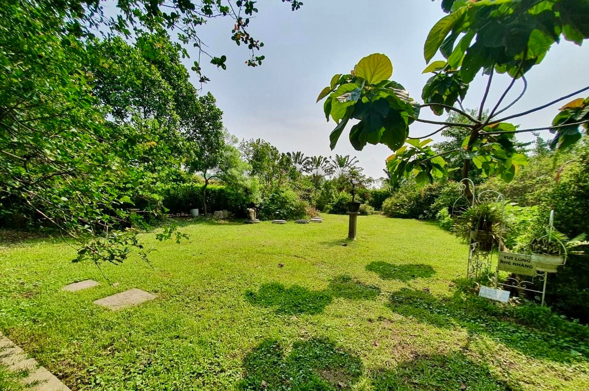 Không gian xanh mát, khí hậu trong lành giữa lòng Hà Nội.