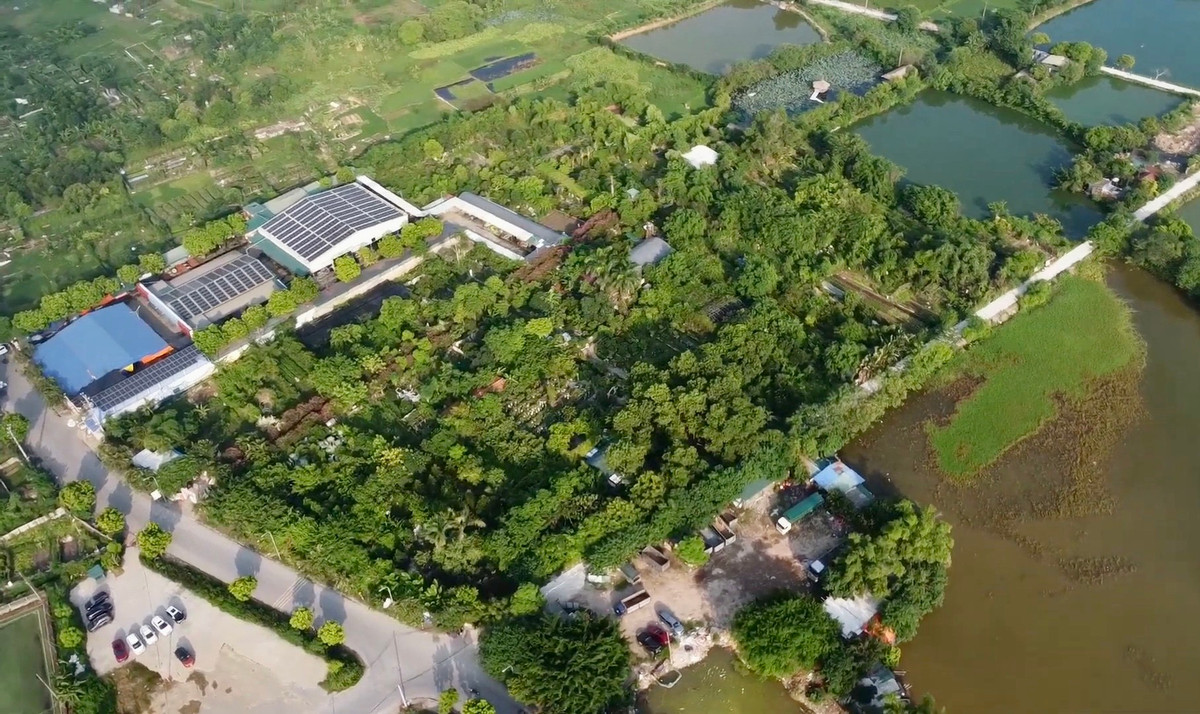  Công viên Thực vật cảnh Việt Nam có diện tích gần 5ha, nằm ở thôn Huỳnh Cung, xã Tam Hiệp, huyện Thanh Trì, cách Trung tâm Hà Nội khoảng 10km.