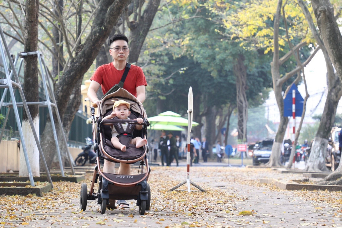 Đi trên những con đường với hàng cây trong mùa thay lá khiến ai nấy đều cảm nhận được sự trầm lắng, bình yên khác hẳn cuộc sống ồn ào, tất bật hàng ngày.
