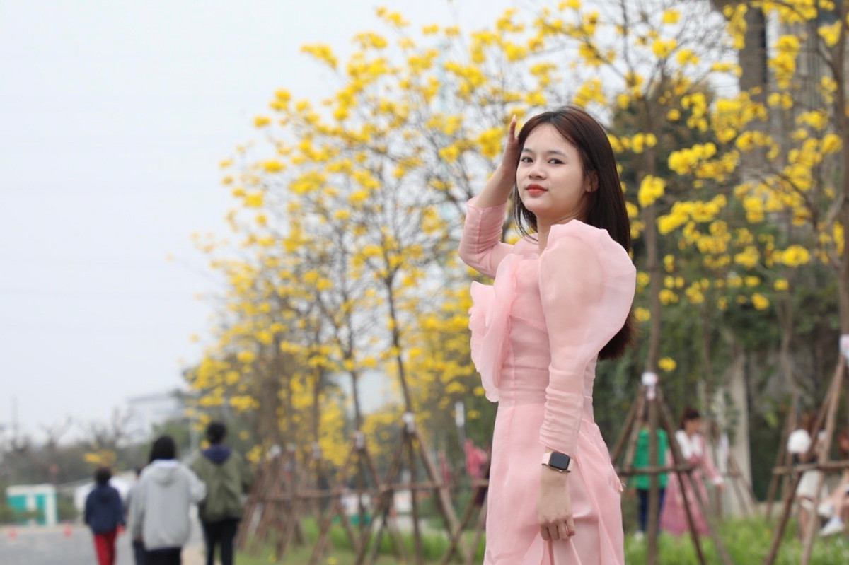 Bạn Hoàng Thị Phương (Cầu Giấy, Hà Nội) chia sẻ: "Mình thấy trên mạng xã hội mọi người đăng tải rất nhiều hình ảnh đẹp về con đường hoa phong linh này nên nay mình đã quyết định tới đây. Mình thấy hoa phong linh có sắc vàng rực rỡ, bung nở rất đẹp. Nay mình đã rủ đi cùng một "phó nháy" xịn, hy vọng là sẽ chụp được nhiều ảnh đẹp".