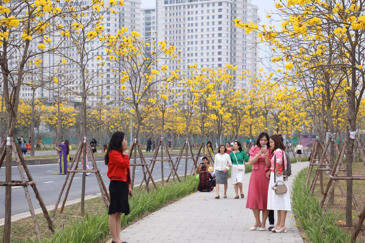 Năm nay, ban quản lý tổ chức thêm điểm trông xe miễn phí ngay bên cạnh để phục vụ người dân. Cung đường tuyệt đẹp này như trở thành "phim trường" thu hút đông đảo người dân đến chụp hình.