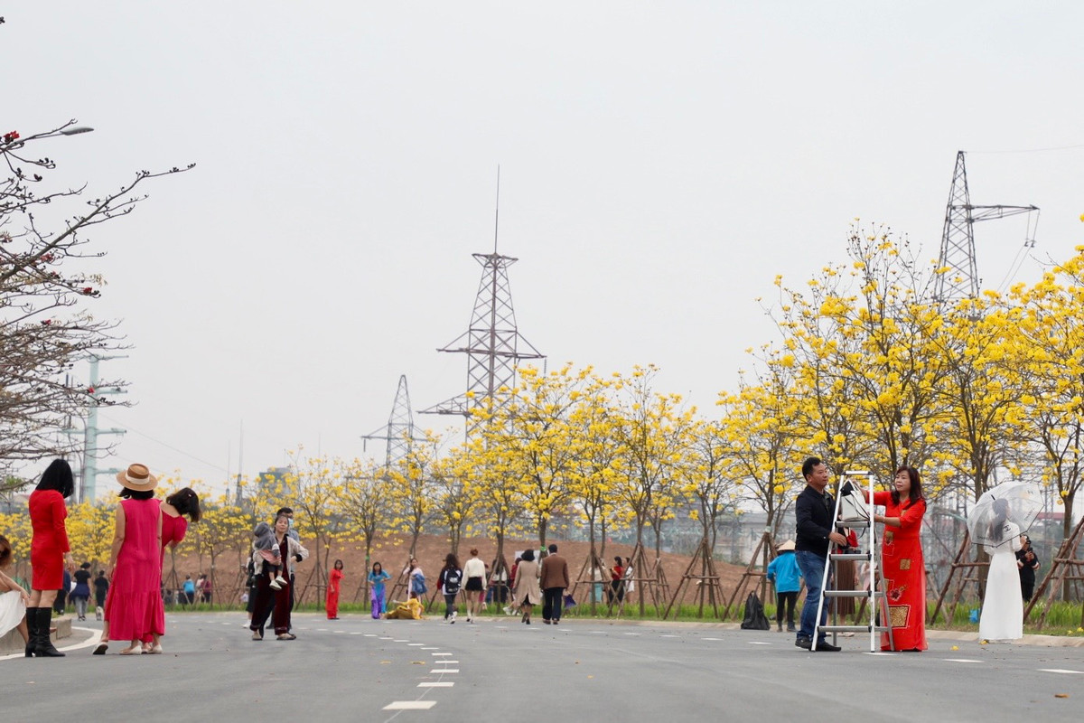 Mỗi ngày con "đường hoa" này thu hút hàng trăm người tới chụp ảnh.