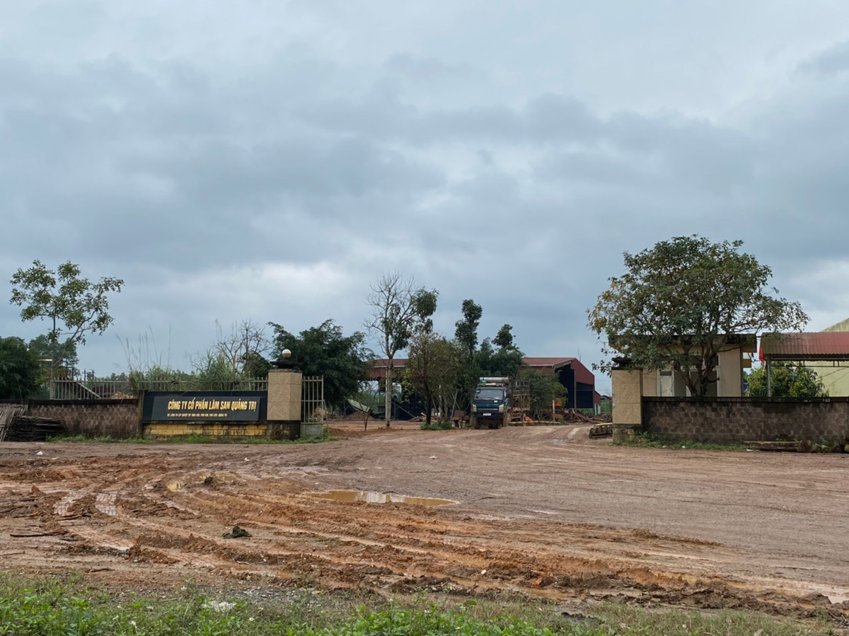 Theo báo cáo kết quả GPMB của UBND huyện Vĩnh Linh, hiện tại điểm nhà máy sản xuất của Công ty Cổ phần lâm sản Quảng Trị bị thu hồi 2,6ha, tuy nhiên doanh nghiệp này có nguyện vọng thu hồi hết diện tích của nhà máy và bố trí tái định cư mới để di dời. Tuy nhiện hiện chưa có đất để bố trí. Theo quan sát cuả PV vào chiều 16/2 hiện nhà máy này vẫn đang hoạt động bình thường, dù việc GPMB dự án đã sát ngay hàng rào của nhà máy.