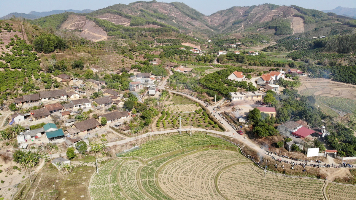  Bản Bắc Hoa thuộc xã Tân Sơn, huyện Lục Ngạn (tỉnh Bắc Giang) là nơi có những thửa ruộng bậc thang uốn lượn ôm vòng quanh bản. Nét bình dị, mộc mạc gần như còn nguyên sơ của phong cảnh, vườn bãi cho đến những ngôi nhà trình tường đơn sơ óng màu thời gian của đồng bào dân tộc Nùng thu hút nhiều du khách.