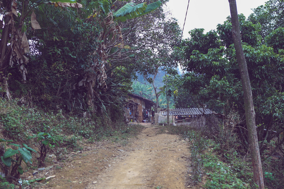 Hai bên đường đi là những đồi cây xanh mát, những ngôi nhà ẩn hiện trong những đồi vải điệp trùng.