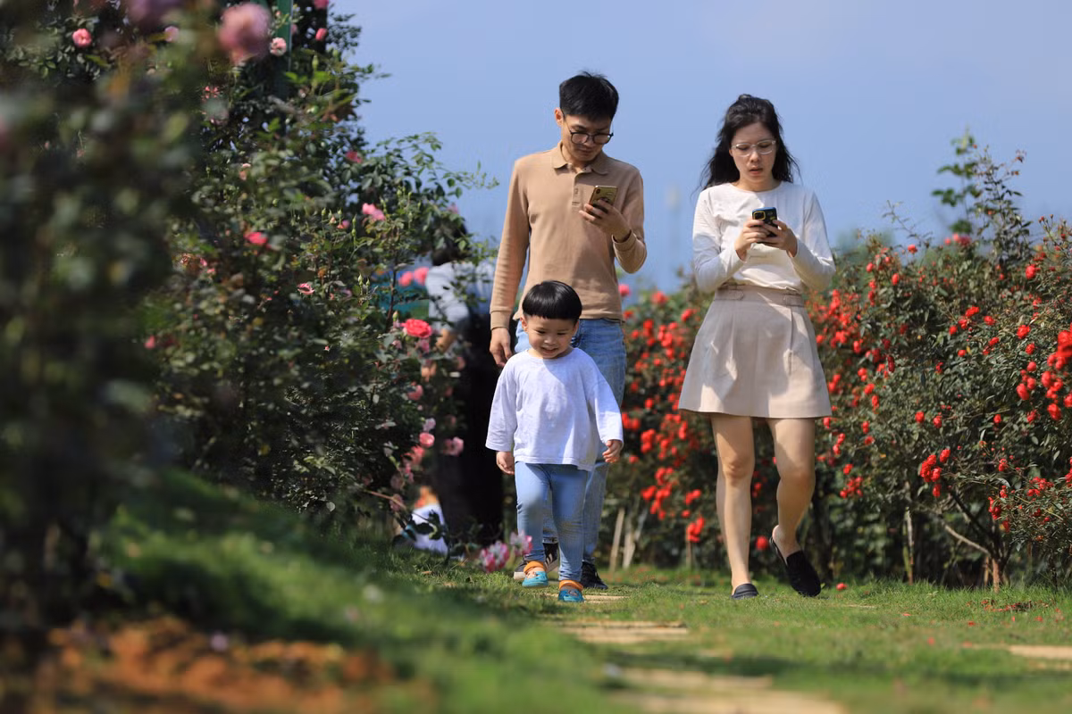 Với hàng nghìn loài hoa đầy lãng mạn và lôi cuốn, vườn hồng đã thu hút nhiều người dân và du khách đến chiêm ngưỡng và chụp ảnh kỉ niệm.