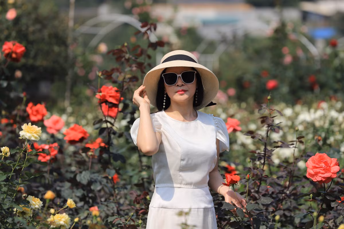 Chị Hương Nguyễn (Cầu Giấy, Hà Nội) cho biết: "Tôi bị choáng ngợp trước đồi hoa hồng của chủ vườn. Trước đây, tôi chỉ đến những vườn hồng nhỏ để chụp ảnh. Tuy nhiên, nơi đây lại khác hoàn toàn bởi quá đẹp và quá nhiều loài hoa mà tôi yêu thích".