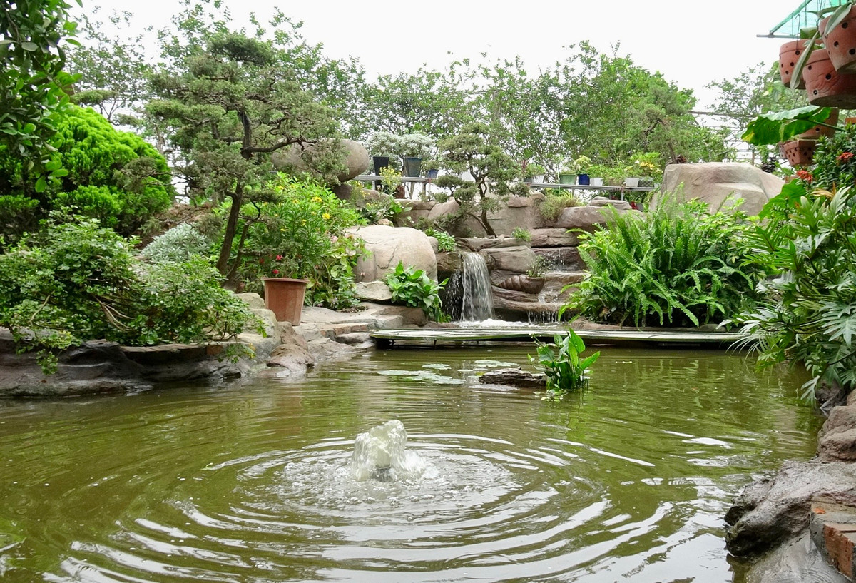 Từ một khu đất hoang hóa lầy lội, sau 7 năm vất vả với sự kiên trì, nỗ lực cùng niềm say mê với thiên nhiên, ông Hùng đã biến nơi đây trở thành một công viên thực vật xanh.