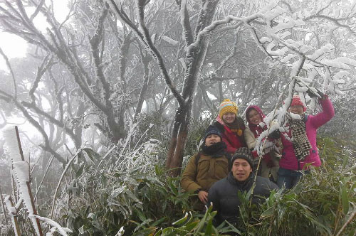 4. Du khách háo hức với băng giá ở Cao Bằng Chiều 16/12, băng giá lần đầu xuất hiện trong mùa đông năm nay ở Sa Pa (Lào Cai), Đồng Văn (Hà Giang) và Phia Oắc (Cao Bằng). Tại đỉnh núi Phia Oắc (Nguyên Bình, Cao Bằng), nơi có độ cao hơn 1.900 m so với mực nước biển, từ 13-14h chiều, cũng phủ một màu trắng xóa. Cánh rừng phòng hộ nơi này băng tuyết bám từ ngọn cây xuống đến tận gốc. Sau khi có thông tin Cao Bằng xuất hiện băng giá, rất nhiều bạn trẻ đã rủ nhau lên kế hoạch đến đây. Không ít du khách tỏ vẻ ngỡ ngàng trước khung cảnh trắng xóa tuyệt đẹp ở vùng núi cao này.