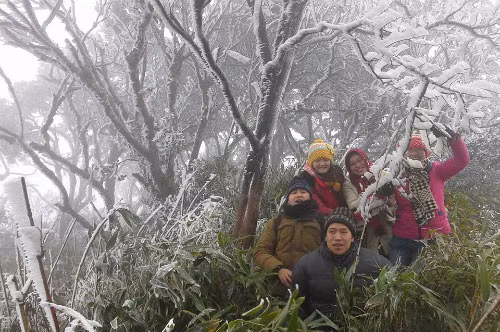 4. Du khách háo hức với băng giá ở Cao Bằng Chiều 16/12, băng giá lần đầu xuất hiện trong mùa đông năm nay ở Sa Pa (Lào Cai), Đồng Văn (Hà Giang) và Phia Oắc (Cao Bằng). Tại đỉnh núi Phia Oắc (Nguyên Bình, Cao Bằng), nơi có độ cao hơn 1.900 m so với mực nước biển, từ 13-14h chiều, cũng phủ một màu trắng xóa. Cánh rừng phòng hộ nơi này băng tuyết bám từ ngọn cây xuống đến tận gốc. Sau khi có thông tin Cao Bằng xuất hiện băng giá, rất nhiều bạn trẻ đã rủ nhau lên kế hoạch đến đây. Không ít du khách tỏ vẻ ngỡ ngàng trước khung cảnh trắng xóa tuyệt đẹp ở vùng núi cao này.