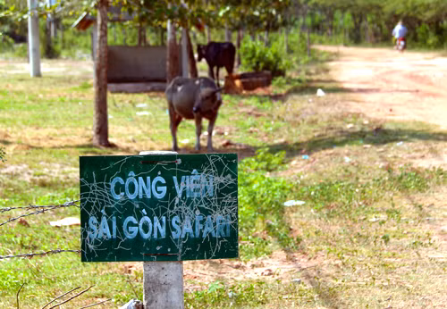 Dự án Công viên Sài Gòn Safari nằm trên địa bàn 2 xã An Nhơn Tây và Phú Mỹ Hưng, huyện Củ Chi - TP HCM, được UBND TP HCM phê duyệt với mong muốn dự án trở thành mô hình công viên giải trí du lịch sinh thái, nơi nuôi dưỡng, trưng bày, nhân giống các loài động thực vật trong nước và các châu lục khác trên thế giới. Đồng thời, tại đây sẽ nuôi dưỡng khoảng 300 loài động vật với khoảng 10.000 con cùng 3.000 loài thực vật, bao gồm cả cây cảnh, cây xanh và dây leo.