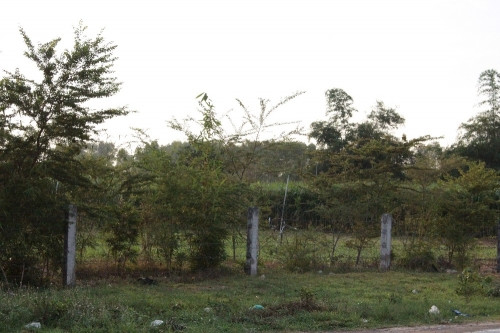 Ngoài những căn nhà bị đập bỏ dang dở, bên trong khu đất rộng hàng trăm ha chưa có hạng mục nào của Dự án Công viên Sài Gòn Safari được xây dựng.