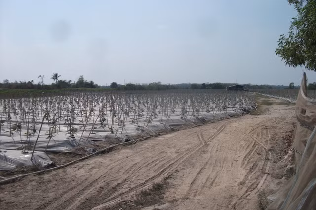 Tính đến thời điểm này vẫn còn 20 hộ chưa thể giải tỏa do khiếu nại về giá đền bù và chờ khu tái định cư. Trong số 750 hộ ảnh hưởng bởi dự án có 246 hộ đăng ký tái định cư, nhưng đến nay khu tái định cư vẫn chưa được huyện Củ Chi xây dựng.