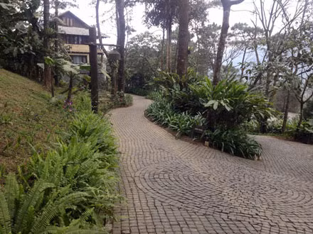 Vậy trách nhiệm của cơ quan chức năng ở đâu khi để xảy ra vi phạm xây dựng "khủng" như vậy?