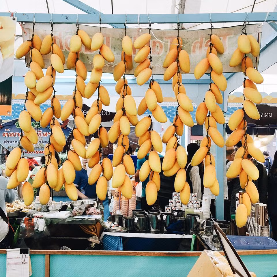 Thái Lan là “thiên đường” của các loại hoa quả nhiệt đới như xoài, chuối, dứa… Xoài ở đây được treo thành từng dây rất đẹp mắt. 