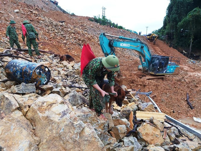 Cuu nan tai Rao Trang 3: Cho nguoi nha nan nhan vao hien truong-Hinh-4