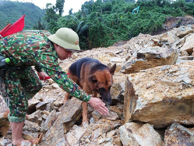 Cuu nan tai Rao Trang 3: Cho nguoi nha nan nhan vao hien truong-Hinh-6