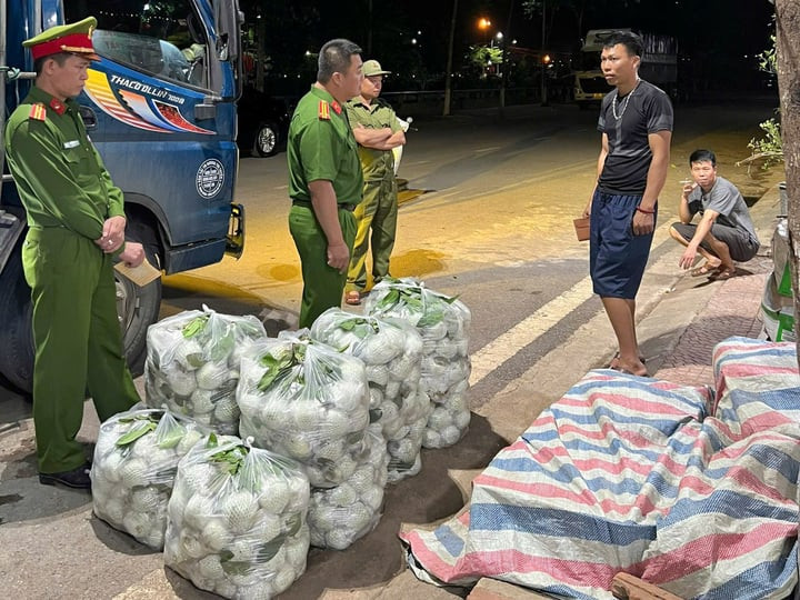 Son La phat hien hon 300kg rau, cu, qua nhiem hoa chat doc hai