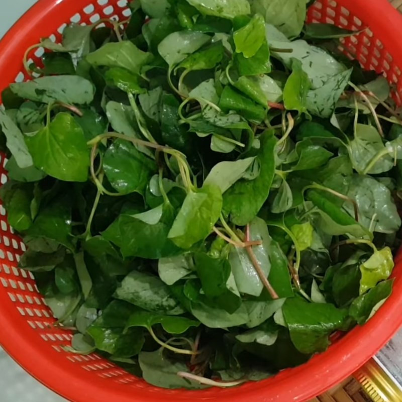 Nước ép rau diếp cá bổ dưỡng nhưng “đại kỵ” với một số người Nuoc ep rau diep ca bo duong nhung “dai ky” voi mot so nguoi