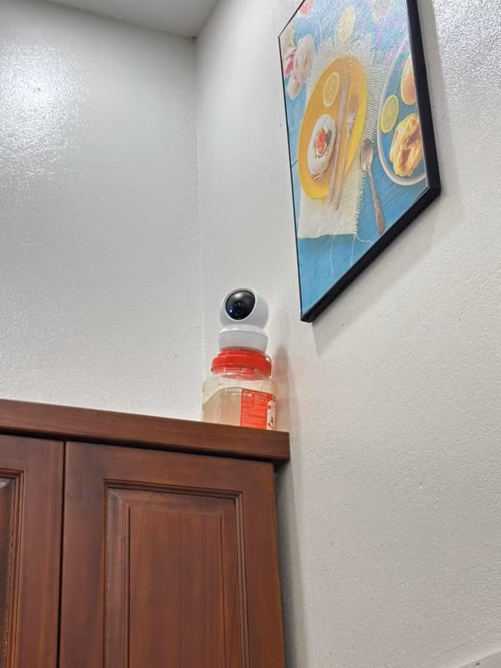 Tầm nhìn không đủ cao, vậy thì chỉ cần đặt trên một chiếc hộp nhựa là được rồi.