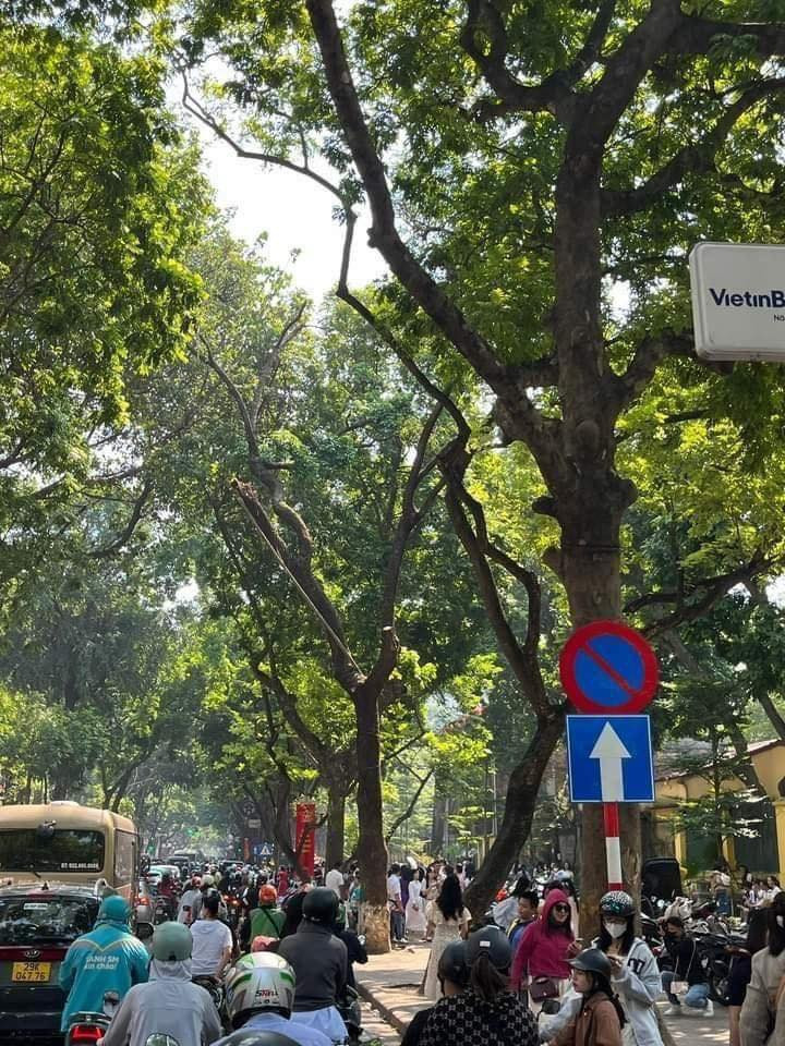 Đặc biệt sắp tới đây sẽ là kỉ niệm 70 năm ngày Giải phóng Thủ đô, vậy nên ai cũng muốn mình có bức ảnh đẹp trong mùa thu Hà Nội. (Ảnh: Linh Nguyễn)