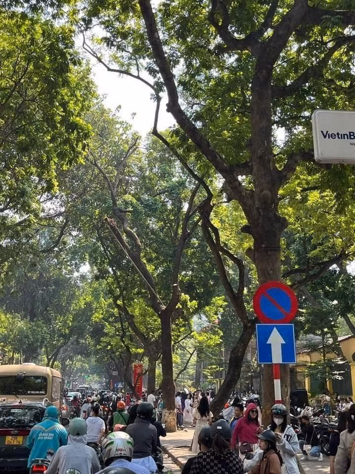 Đặc biệt sắp tới đây sẽ là kỉ niệm 70 năm ngày Giải phóng Thủ đô, vậy nên ai cũng muốn mình có bức ảnh đẹp trong mùa thu Hà Nội. (Ảnh: Linh Nguyễn)