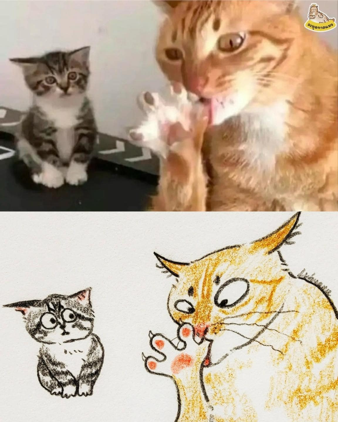 "Tranh biếm họa hay gì", "cũng giống bản gốc đấy nhưng trông lạ lắm", "một đời liêm khiết bị hủy vì một bức meme - mèo cam said" - netizen bình luận rôm rả phía dưới bài đăng.