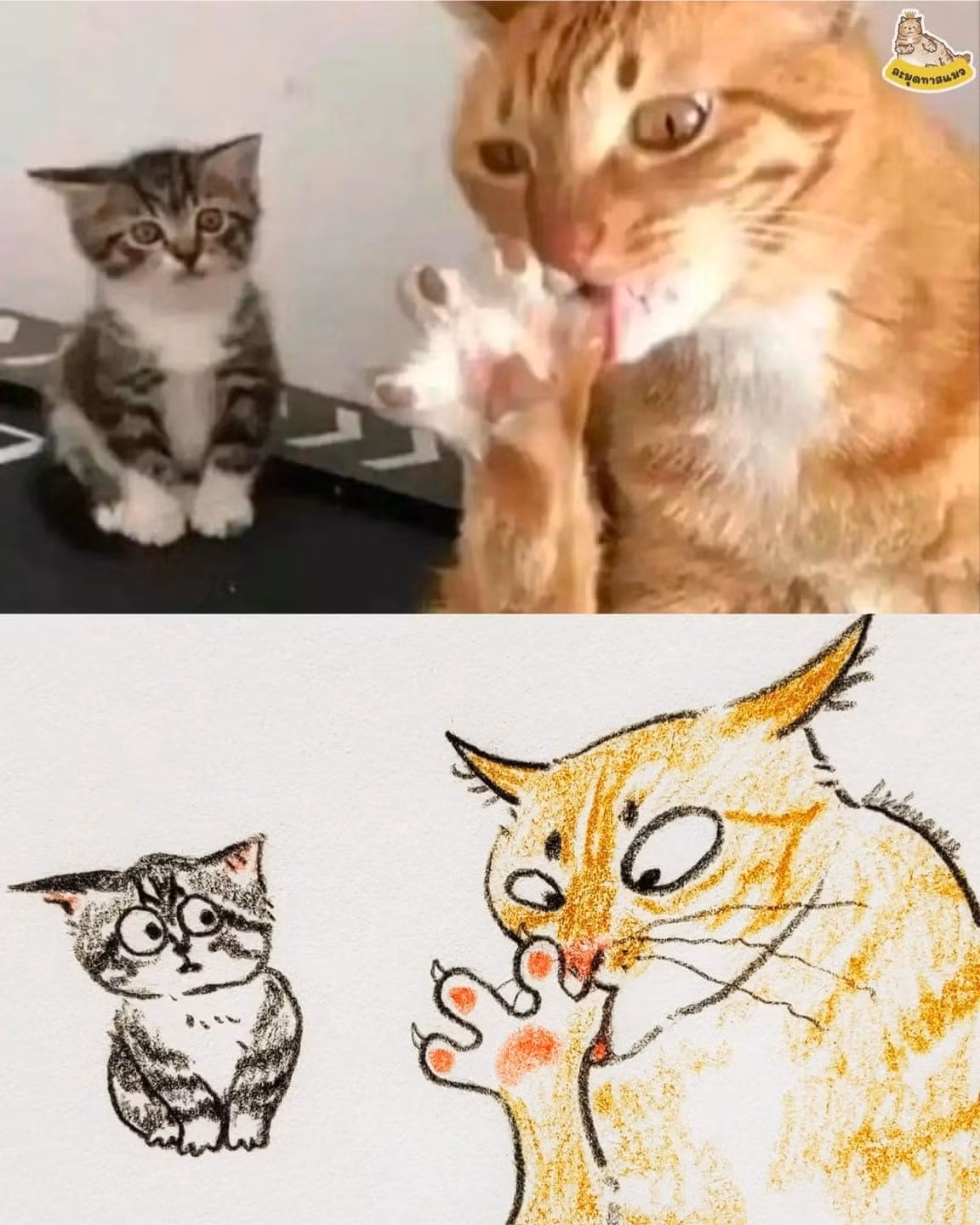 "Tranh biếm họa hay gì", "cũng giống bản gốc đấy nhưng trông lạ lắm", "một đời liêm khiết bị hủy vì một bức meme - mèo cam said" - netizen bình luận rôm rả phía dưới bài đăng.